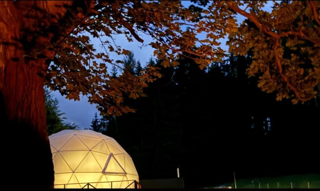 Forrest Glamp Hotel Mieroszow Eksteriør billede