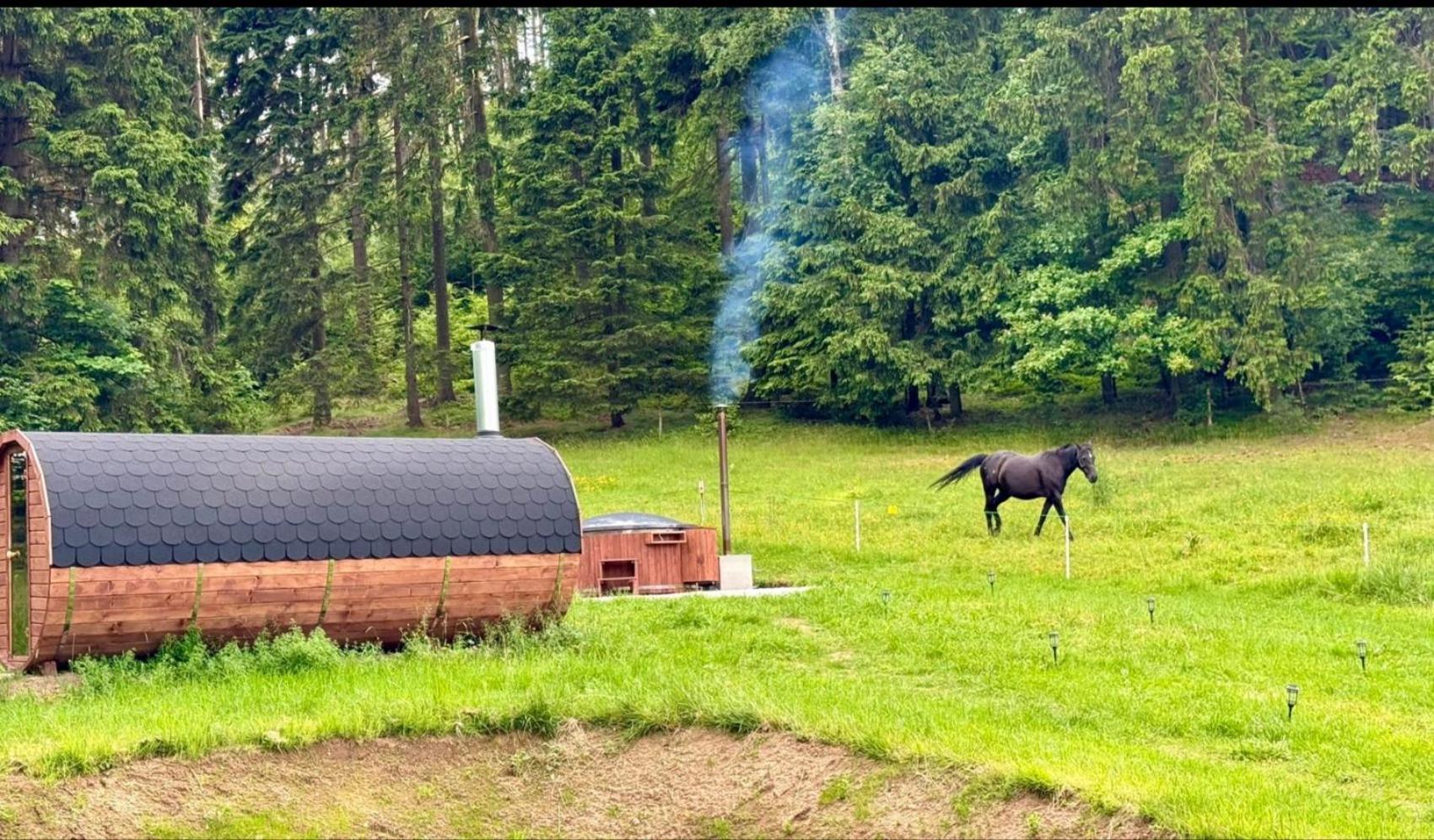 Forrest Glamp Hotel Mieroszow Eksteriør billede