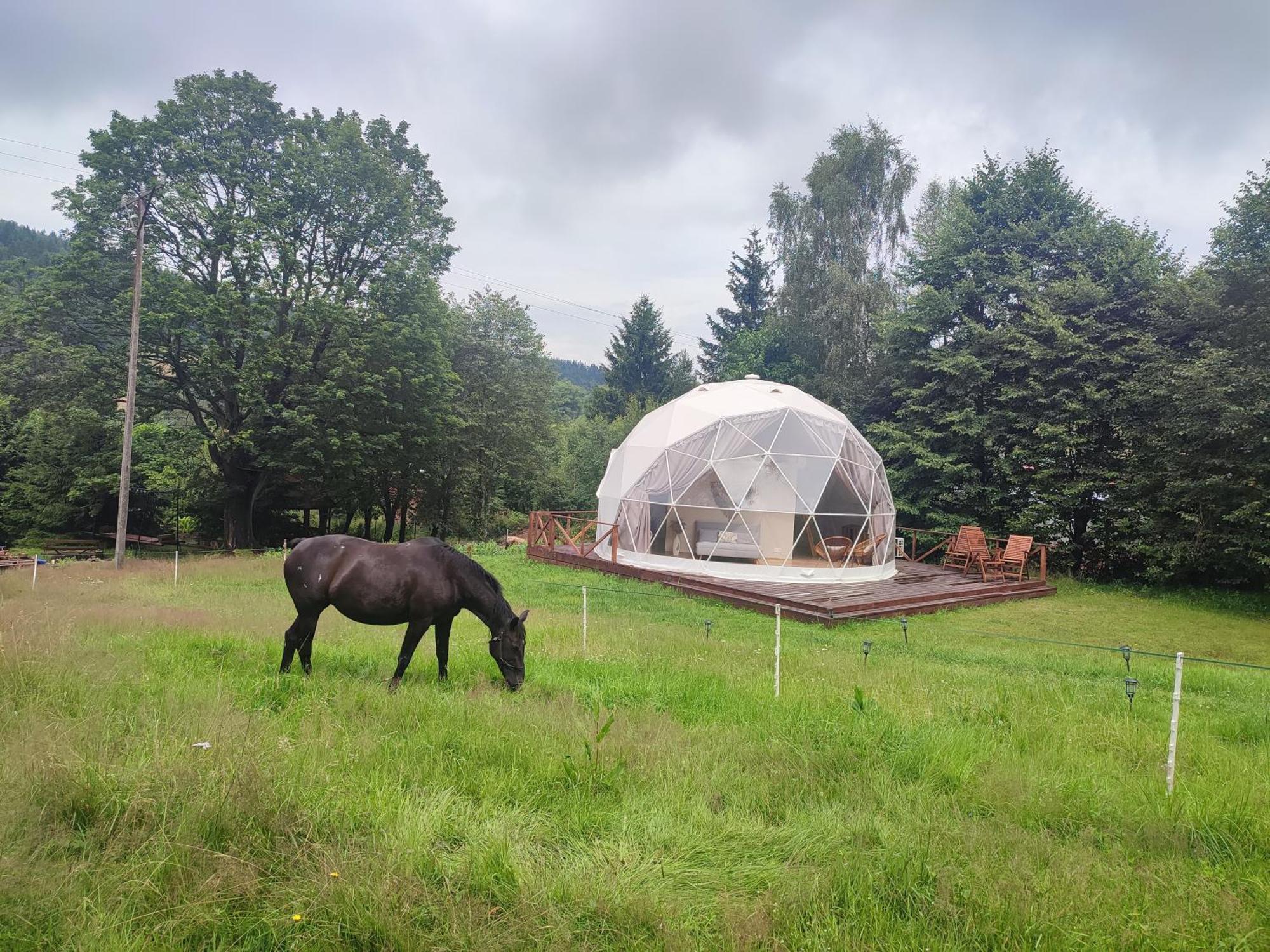 Forrest Glamp Hotel Mieroszow Eksteriør billede